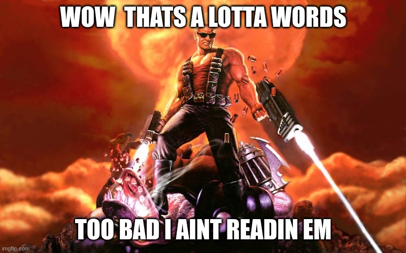Duke Nukem | WOW  THATS A LOTTA WORDS; TOO BAD I AINT READIN EM | image tagged in duke nukem | made w/ Imgflip meme maker