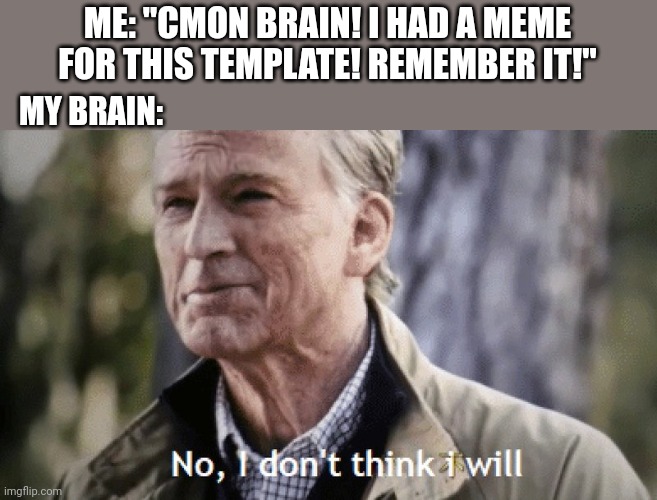 This literally happened to me while trying to make this meme... But luckily my brain done a savage | ME: "CMON BRAIN! I HAD A MEME FOR THIS TEMPLATE! REMEMBER IT!"; MY BRAIN: | image tagged in no i dont think i will,brain | made w/ Imgflip meme maker