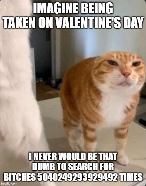 Schizophrenic Cat.pdf | IMAGINE BEING TAKEN ON VALENTINE'S DAY; I NEVER WOULD BE THAT DUMB TO SEARCH FOR BITCHES 5040249293929492 TIMES | image tagged in schizophrenic cat pdf | made w/ Imgflip meme maker