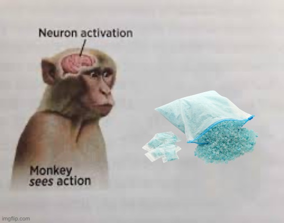 Neuron activation | image tagged in neuron activation | made w/ Imgflip meme maker