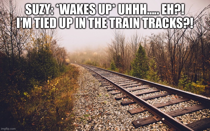 Train tracks disaster! | SUZY: *WAKES UP* UHHH….. EH?! I’M TIED UP IN THE TRAIN TRACKS?! | image tagged in train tracks,disaster | made w/ Imgflip meme maker