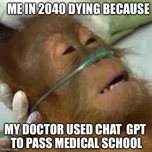 So this is how I die | ME IN 2040 DYING BECAUSE; MY DOCTOR USED CHAT  GPT 
TO PASS MEDICAL SCHOOL | image tagged in monke | made w/ Imgflip meme maker