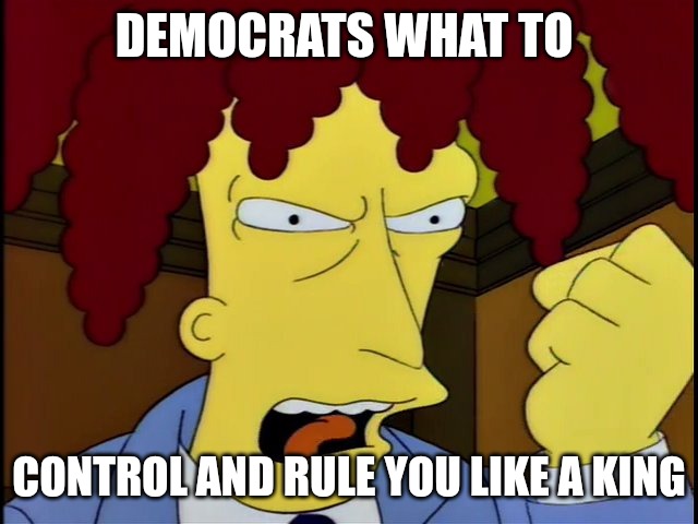 Sideshow Bob Courtspeech | DEMOCRATS WHAT TO; CONTROL AND RULE YOU LIKE A KING | image tagged in sideshow bob courtspeech | made w/ Imgflip meme maker