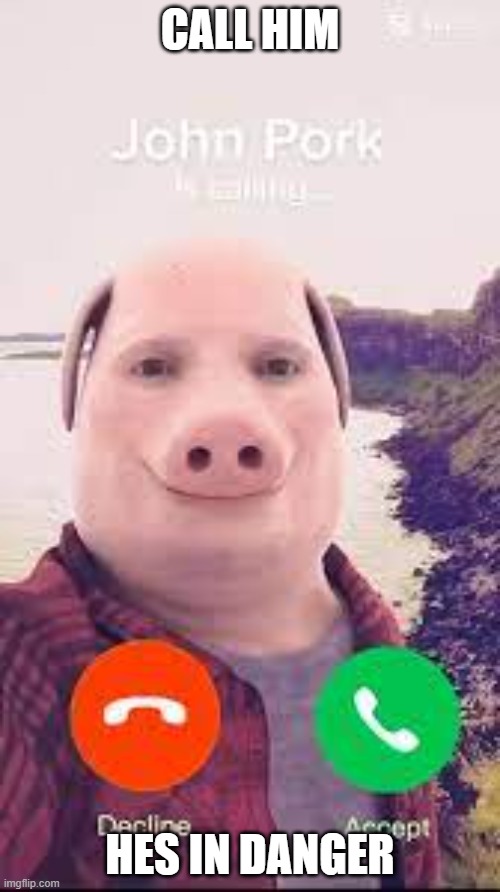 john pork | CALL HIM; HES IN DANGER | image tagged in john pork | made w/ Imgflip meme maker