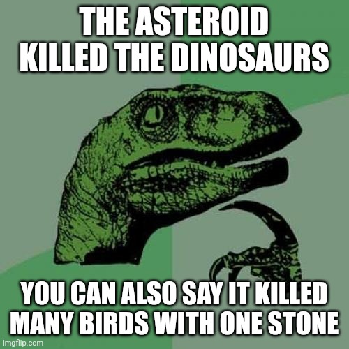 Shawur thots | THE ASTEROID KILLED THE DINOSAURS; YOU CAN ALSO SAY IT KILLED MANY BIRDS WITH ONE STONE | image tagged in memes,philosoraptor | made w/ Imgflip meme maker