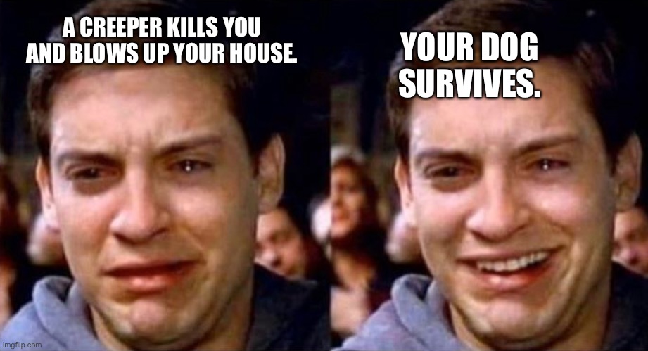 Peter Parker cry then smile | YOUR DOG SURVIVES. A CREEPER KILLS YOU AND BLOWS UP YOUR HOUSE. | image tagged in peter parker cry then smile | made w/ Imgflip meme maker
