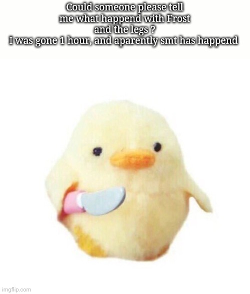 Duck with knife | Could someone please tell me what happend with Frost and the legs ?
I was gone 1 hour, and aparently smt has happend | image tagged in duck with knife | made w/ Imgflip meme maker