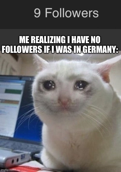 Where did they go *sad sniff* | ME REALIZING I HAVE NO FOLLOWERS IF I WAS IN GERMANY: | image tagged in crying cat | made w/ Imgflip meme maker