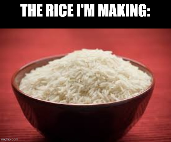 All this rice | THE RICE I'M MAKING: | image tagged in all this rice | made w/ Imgflip meme maker