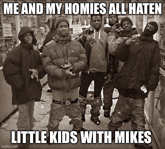 All My Homies Hate | ME AND MY HOMIES ALL HATEN; LITTLE KIDS WITH MIKES | image tagged in all my homies hate | made w/ Imgflip meme maker