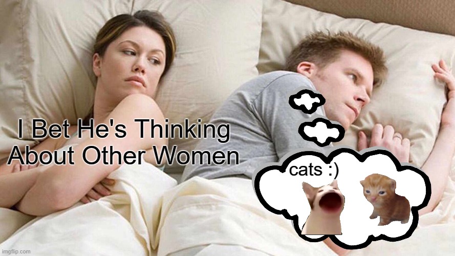 Cats | I Bet He's Thinking About Other Women; cats :) | image tagged in memes,i bet he's thinking about other women,cats | made w/ Imgflip meme maker