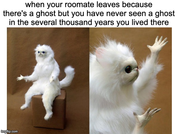 Image Title | when your roomate leaves because there's a ghost but you have never seen a ghost in the several thousand years you lived there | image tagged in meme | made w/ Imgflip meme maker