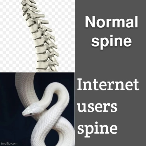 image tagged in memes | made w/ Imgflip meme maker