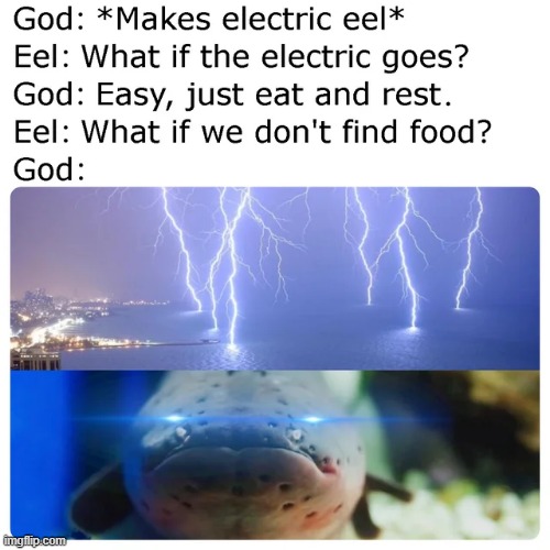 image tagged in memes | made w/ Imgflip meme maker