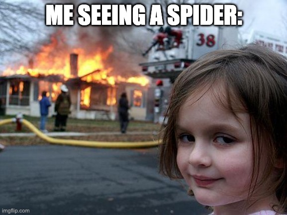 Disaster Girl | ME SEEING A SPIDER: | image tagged in memes,disaster girl | made w/ Imgflip meme maker