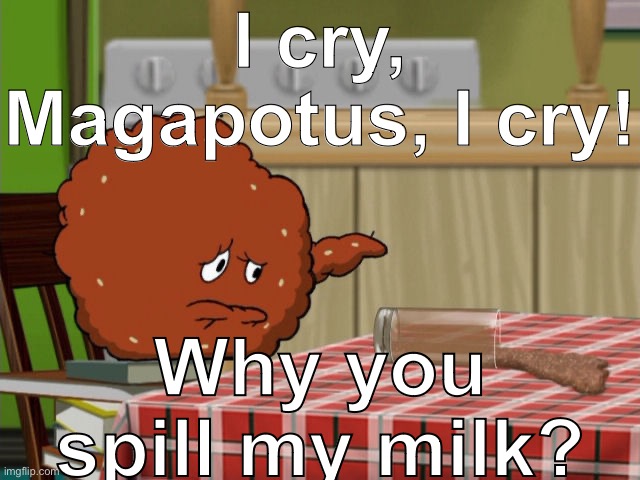 Crying Meatwad | I cry, Magapotus, I cry! Why you spill my milk? | image tagged in crying meatwad | made w/ Imgflip meme maker
