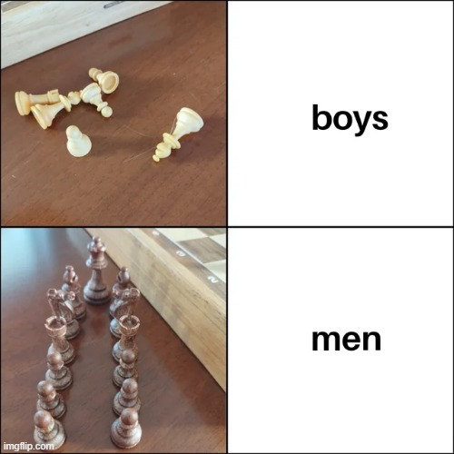 image tagged in memes | made w/ Imgflip meme maker