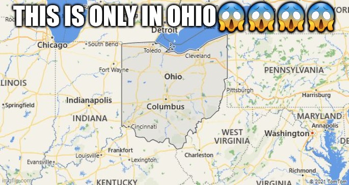 ONLY IN OHIO | THIS IS ONLY IN OHIO???? | image tagged in only in ohio | made w/ Imgflip meme maker