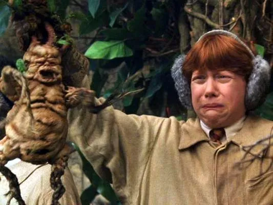 Ron Weasley with mandrake Blank Meme Template