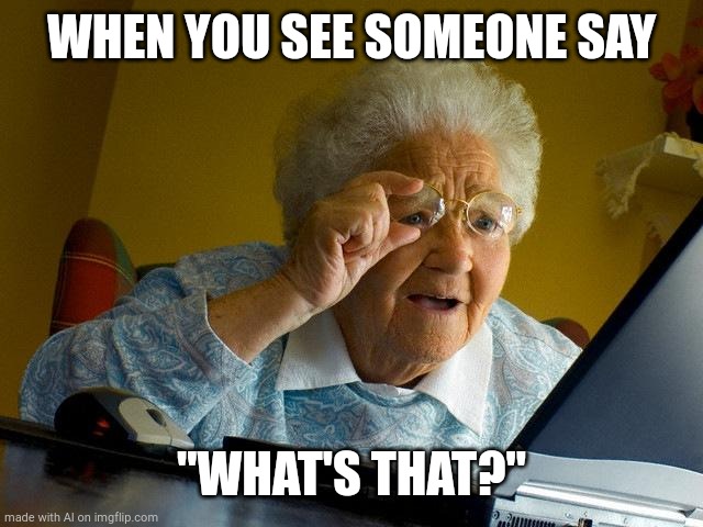 Grandma Finds The Internet Meme | WHEN YOU SEE SOMEONE SAY; "WHAT'S THAT?" | image tagged in memes,grandma finds the internet | made w/ Imgflip meme maker