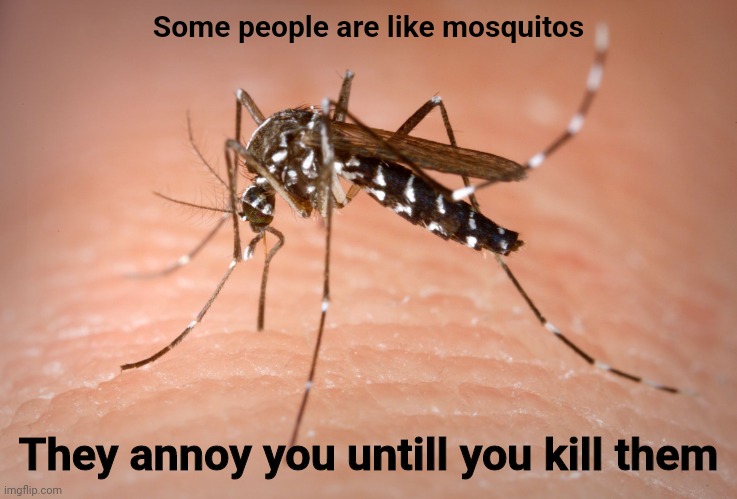 Mosquito | Some people are like mosquitos; They annoy you untill you kill them | image tagged in mosquito | made w/ Imgflip meme maker
