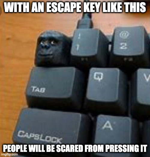 Modified Escape Key | WITH AN ESCAPE KEY LIKE THIS; PEOPLE WILL BE SCARED FROM PRESSING IT | image tagged in computer,keyboard,memes | made w/ Imgflip meme maker