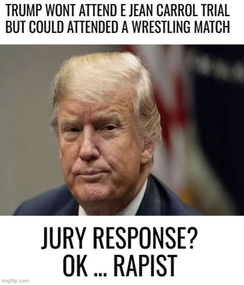 Sitting it out. | image tagged in donald trump,maga,rape,trial,politics | made w/ Imgflip meme maker