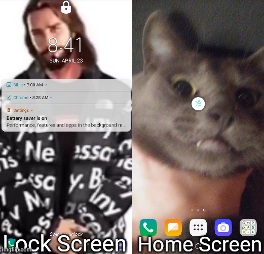 Chad me (the home screen is my cat) | Home Screen; Lock Screen | made w/ Imgflip meme maker