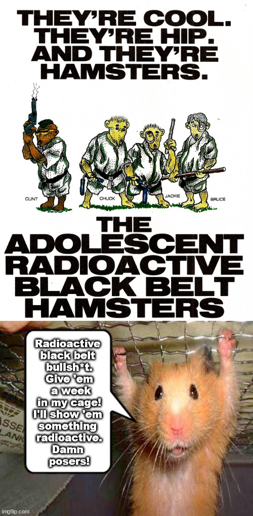 Hamster magic | Radioactive 
black belt 
bullsh*t.
Give 'em
 a week
in my cage!
I'll show 'em 
something 
radioactive.
Damn 
posers! | image tagged in memes,dark humor | made w/ Imgflip meme maker