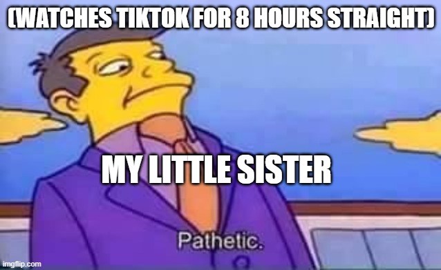 sisters be like | (WATCHES TIKTOK FOR 8 HOURS STRAIGHT); MY LITTLE SISTER | image tagged in skinner pathetic | made w/ Imgflip meme maker