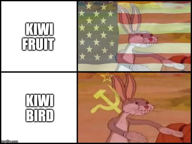 Kiwi fruit vs kiwi bird | KIWI FRUIT; KIWI BIRD | image tagged in capitalist and communist | made w/ Imgflip meme maker