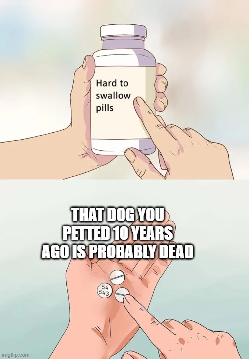 Hard To Swallow Pills Meme | THAT DOG YOU PETTED 10 YEARS AGO IS PROBABLY DEAD | image tagged in memes,hard to swallow pills | made w/ Imgflip meme maker