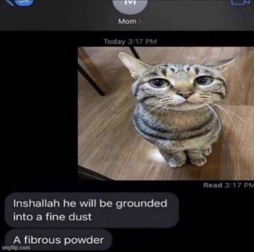 firbous poder | made w/ Imgflip meme maker