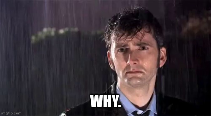 David Tennant Sad In The Rain | WHY. | image tagged in david tennant sad in the rain | made w/ Imgflip meme maker