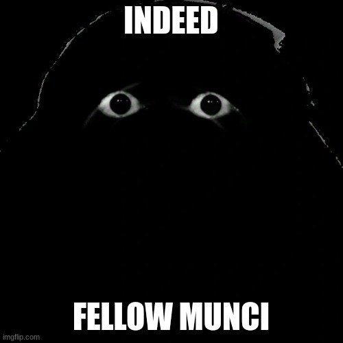 Angry Munci | INDEED; FELLOW MUNCI | image tagged in angry munci | made w/ Imgflip meme maker