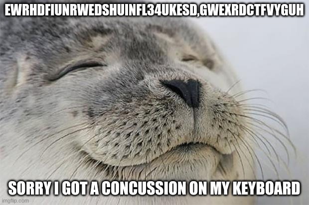 concussion | EWRHDFIUNRWEDSHUINFL34UKESD,GWEXRDCTFVYGUH; SORRY I GOT A CONCUSSION ON MY KEYBOARD | image tagged in memes,satisfied seal | made w/ Imgflip meme maker