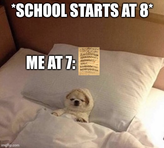 Dog in bed sleeping | *SCHOOL STARTS AT 8*; ME AT 7: | image tagged in dog in bed sleeping | made w/ Imgflip meme maker