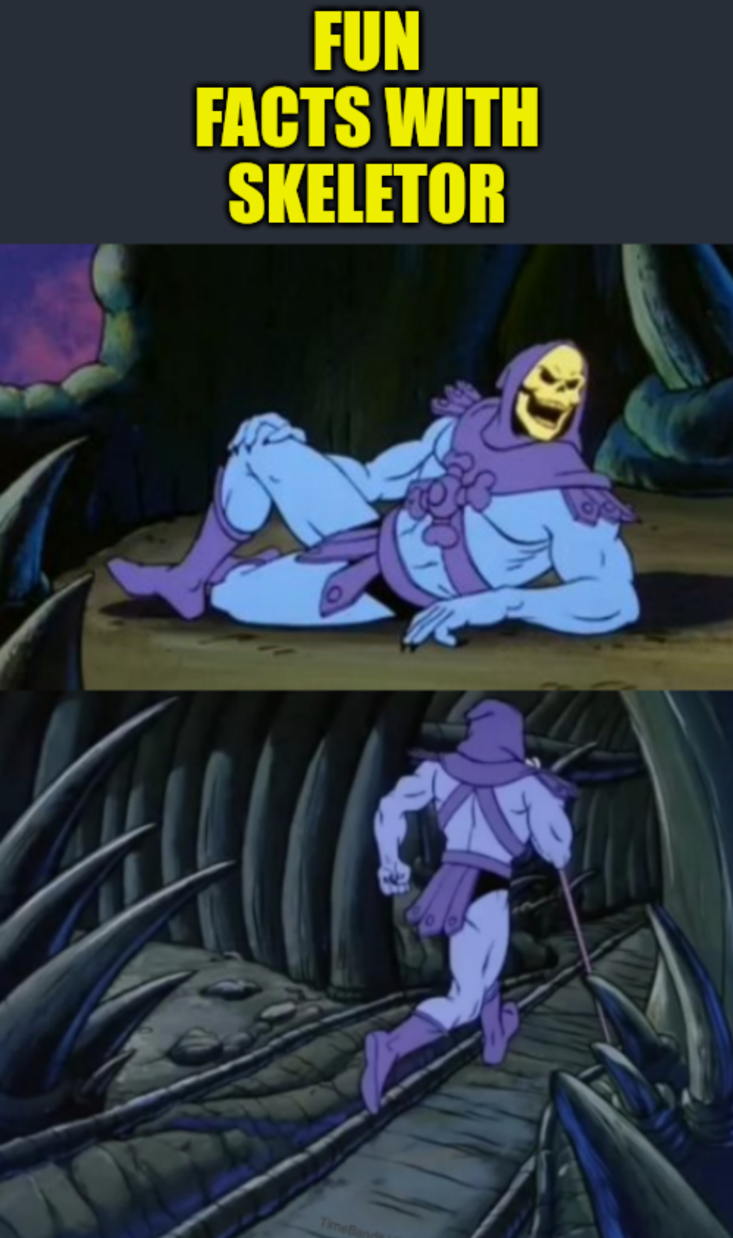 High Quality Fun facts with skeletor Blank Meme Template