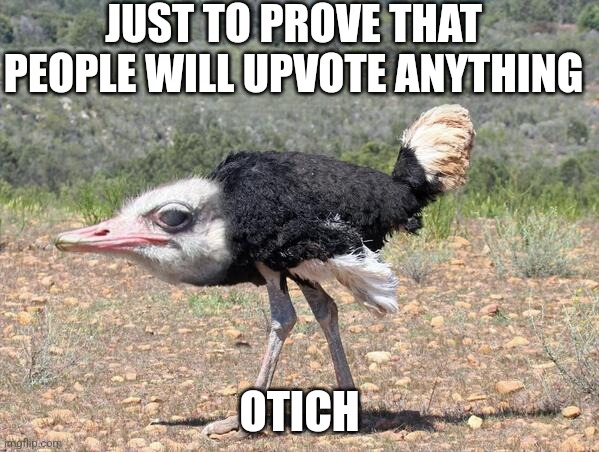 Just to prove that people will upvote anything | JUST TO PROVE THAT PEOPLE WILL UPVOTE ANYTHING; OTICH | image tagged in otich | made w/ Imgflip meme maker