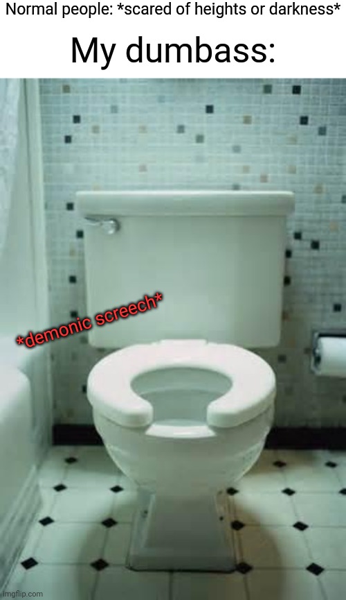 It literally sounds like my toilet is screaming whenever I flush it | Normal people: *scared of heights or darkness*; My dumbass:; *demonic screech* | image tagged in toilet | made w/ Imgflip meme maker