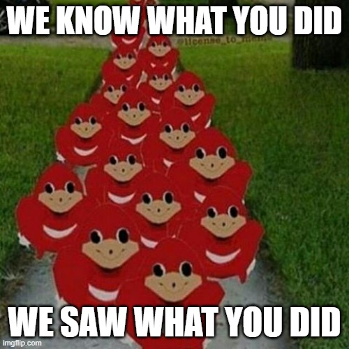lock your doors. call 911. | WE KNOW WHAT YOU DID; WE SAW WHAT YOU DID | image tagged in ugandan knuckles army | made w/ Imgflip meme maker