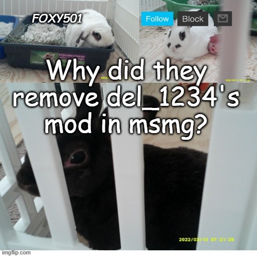 Foxy501 announcement template | Why did they remove del_1234's mod in msmg? | image tagged in foxy501 announcement template | made w/ Imgflip meme maker