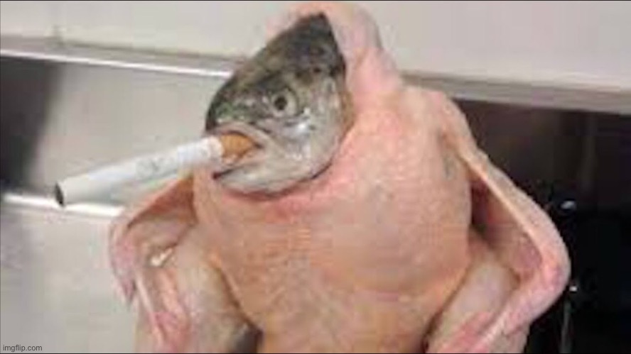 806 | image tagged in cursed image,fish,chicken,cigarettes,smoking,aaaaaaaaaaaaaaaaaaaaaaaaaaa | made w/ Imgflip meme maker