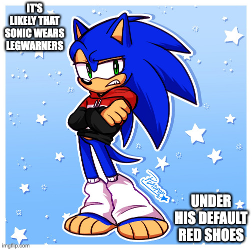 Sonic Without HIs Shoes | IT'S LIKELY THAT SONIC WEARS LEGWARNERS; UNDER HIS DEFAULT RED SHOES | image tagged in sonic the hedgehog,memes | made w/ Imgflip meme maker