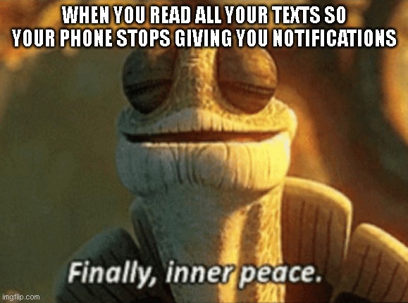 finally | WHEN YOU READ ALL YOUR TEXTS SO YOUR PHONE STOPS GIVING YOU NOTIFICATIONS | image tagged in finally inner peace,notifications | made w/ Imgflip meme maker