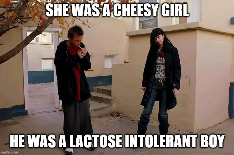 She made his booty doo doo then dip | SHE WAS A CHEESY GIRL; HE WAS A LACTOSE INTOLERANT BOY | image tagged in she was a x girl he was a x boy | made w/ Imgflip meme maker