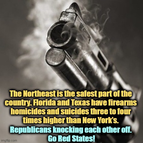 GOP politicians only talk about black and brown crime. Guns make whites killing each other dangerous, too. | The Northeast is the safest part of the 
country. Florida and Texas have firearms 
homicides and suicides three to four 
times higher than New York’s. Republicans knocking each other off. 
Go Red States! | image tagged in donald trump's very own smoking gun,gun,death,florida,texas,second amendment | made w/ Imgflip meme maker