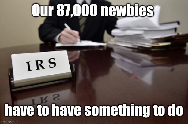 I.R.S. Agent | Our 87,000 newbies have to have something to do | image tagged in i r s agent | made w/ Imgflip meme maker