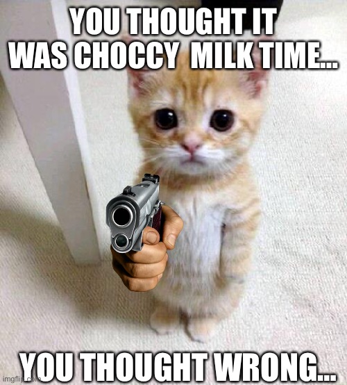 You thought you scrolled and got the choccy milk well guess what… | YOU THOUGHT IT WAS CHOCCY  MILK TIME…; YOU THOUGHT WRONG… | image tagged in memes,cute cat | made w/ Imgflip meme maker