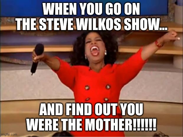 Oprah You Get A | WHEN YOU GO ON THE STEVE WILKOS SHOW... AND FIND OUT YOU WERE THE MOTHER!!!!!! | image tagged in memes,oprah you get a | made w/ Imgflip meme maker